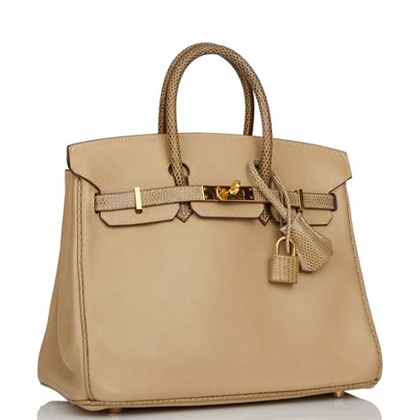 hermes birkin argyle|Bags Birkin .